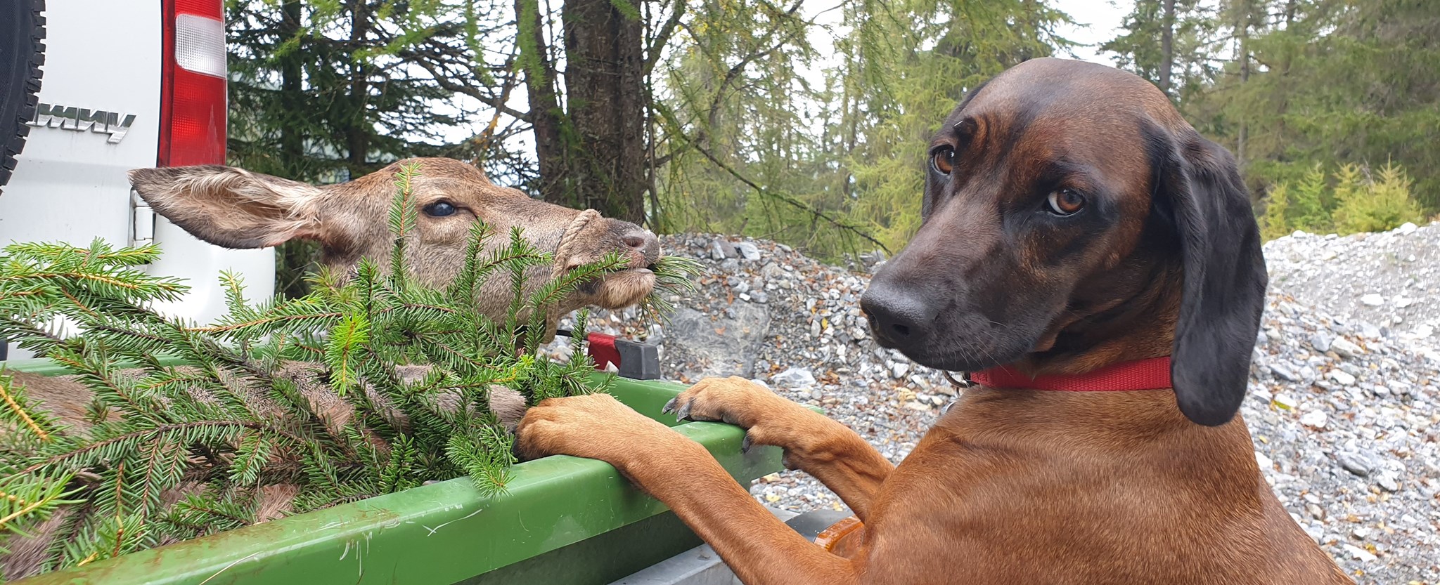 Liebe & Respekt vor der Natur wird bedeutender denn je!